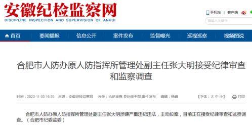 合肥新闻爆料,聚焦城市热点事件，揭示幕后真相